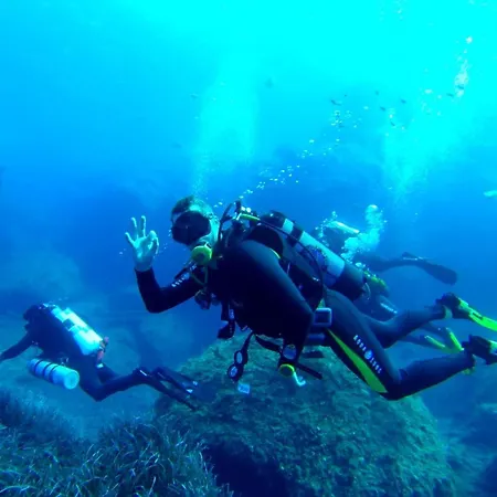 Appartement Cosy 1br Penthouse Close To The Promenade